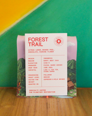 Forest Trail