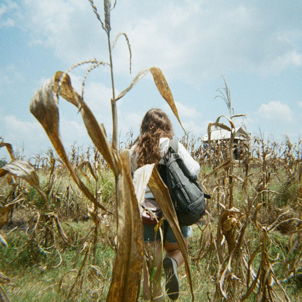 A volunteer standing in the middle a dried corn field.