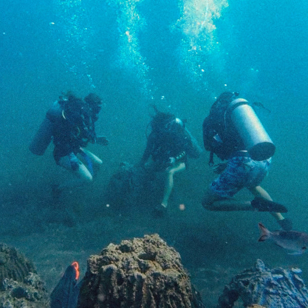Volunteering underwater, building artificial reefs to help restore coral populations in Tulamben, Bali.